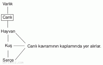 http://www.notbak.com/dersnotlari/img/006.gif
